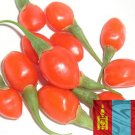 Organic Goji Berry Seeds From Mongolia [1000+ Pack]