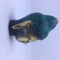 Budda Head a1