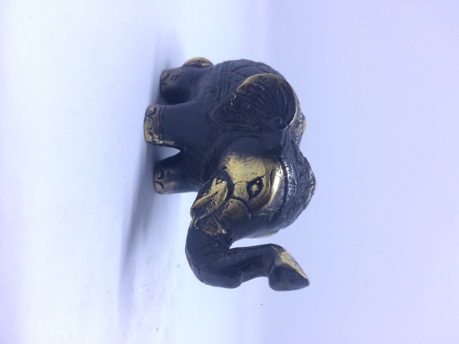 Elephant a2