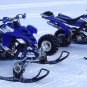 Brand New 250cc E-Gor Atski Four Wheeler SnowMobile