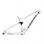 Trifox Carbon MTB Frame MFM100