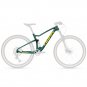 Trifox Carbon MTB Frame MFM100