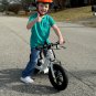 Varla Flyer Electric Bike for Kids