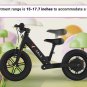 Varla Flyer Electric Bike for Kids