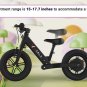 Varla Flyer Electric Bike for Kids
