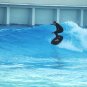 5'4 R-SERIES Surfboard