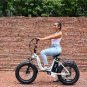 Hiboy EX6F Low-Step Foldable Electric Bike