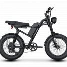 Z8 Electric Bike Rider T