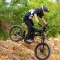 GT73 /PRO Electric Motorbike