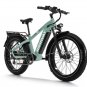 D5(Zebra) / All-terrain Electric Fat Bike