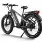 D5(Zebra) / All-terrain Electric Fat Bike