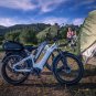 D5(Zebra) / All-terrain Electric Fat Bike