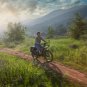 D5(Zebra) / All-terrain Electric Fat Bike