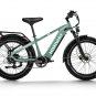 D5(Zebra) / All-terrain Electric Fat Bike