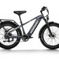 D5(Zebra) / All-terrain Electric Fat Bike