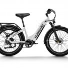 D5 ST(Zebra ST) / All-terrain Electric Fat Bike