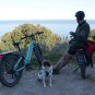 D5 ST(Zebra ST) / All-terrain Electric Fat Bike
