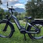 D5 ST(Zebra ST) / All-terrain Electric Fat Bike