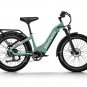 D5 ST(Zebra ST) / All-terrain Electric Fat Bike