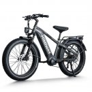 D5 Pro ST / All-terrain Electric Fat Bike