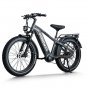 D5 Pro ST / All-terrain Electric Fat Bike