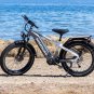 D5 Pro ST / All-terrain Electric Fat Bike