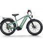 D5 Pro ST / All-terrain Electric Fat Bike