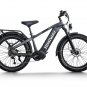 D5 Pro ST / All-terrain Electric Fat Bike