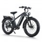 D5 Pro ST / All-terrain Electric Fat Bike