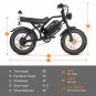 HappyRun G70 2000W Dual Battery Fast Electric Cargo Bike for Sale