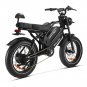 HappyRun G70 2000W Dual Battery Fast Electric Cargo Bike for Sale