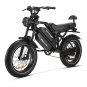 HappyRun G70 2000W Dual Battery Fast Electric Cargo Bike for Sale