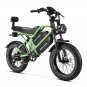 HappyRun G70 2000W Dual Battery Fast Electric Cargo Bike for Sale