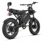 HappyRun G70 Pro Dual-Motor Dual-Battery Electric Cargo Bike