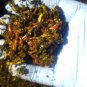 5 Lbs. the Best Organic Fertilizer for Tomatoes and Vegetables
