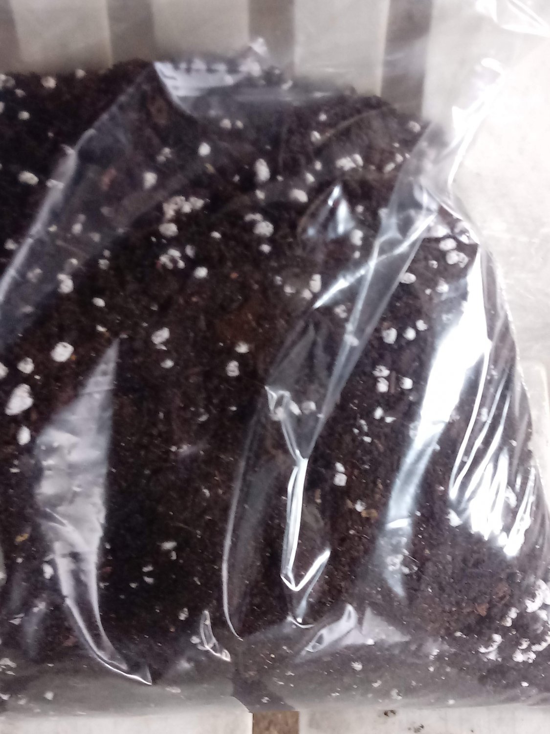 The best organic potting soil mix