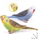2pcs Parakeet Bird Animal Model Figure toys Pet Farm And Zoo Minifigure Block Toys