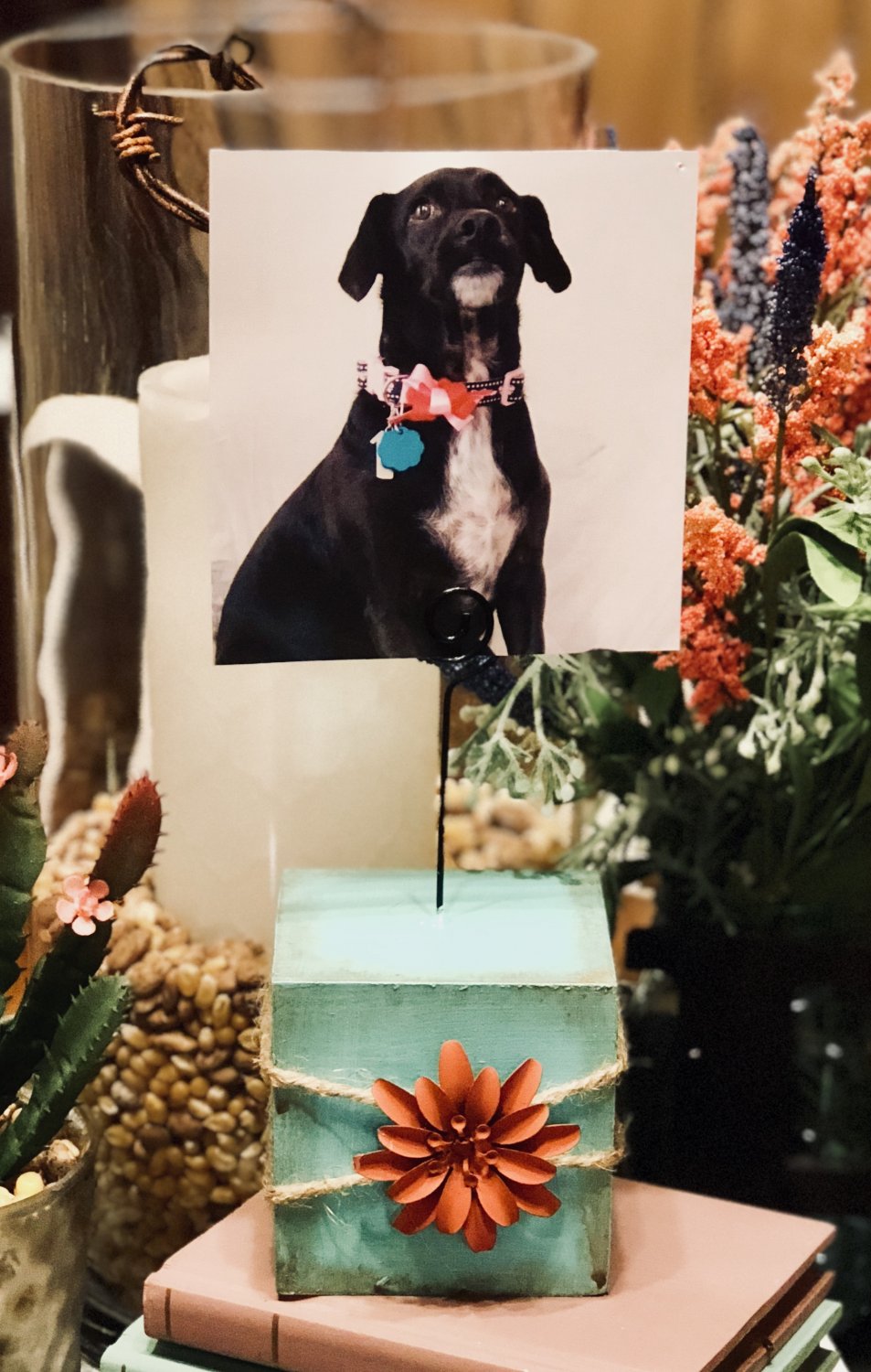 3 in Aqua Photo Display