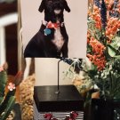 3 in Black Photo Display