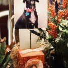 3 in Copper Photo Display