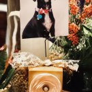 3 in Gold Photo Display
