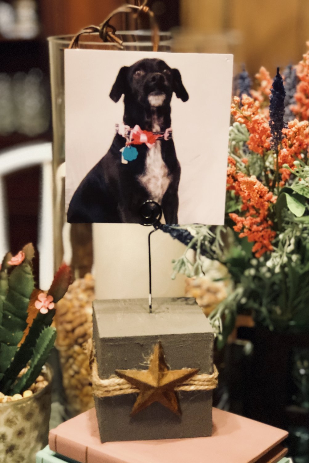 3 in Grey Photo Display