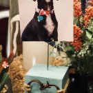 3 in Turquoise Photo Display