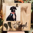 8x8 Sweet Angel Photo Display