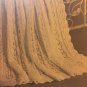 BABY SHAWL Lacy Afghans pattern 129 Patons Beehive baby blanket patterns Knitting and Crocheting