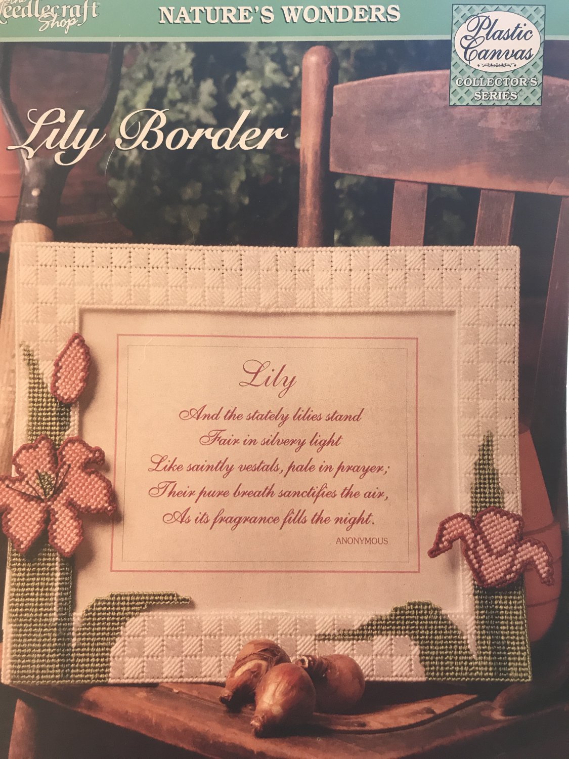 Lily Border Picture Frame The Needlecraft Shop Plastic Canvas Pattern 964028