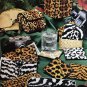 Jungle Safari Plastic Canvas Pattern American School of Needlework 3151