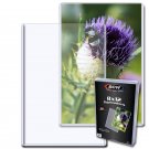 Pack of 20 BCW 8X12 Photo Topload Holder (1-TLCH-8X12) Pack of 20 BCW 8X12 Photo Topload Holder (1-TLCH-8X12)