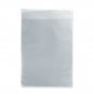 2X BCW Golden Comic Mylar Archivals - 2 MIL