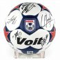 BCW Acrylic Ball Stand